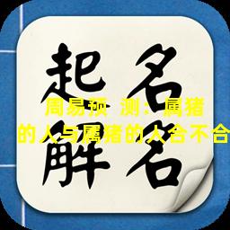 周易预  测：属猪的人与属猪的人合不合